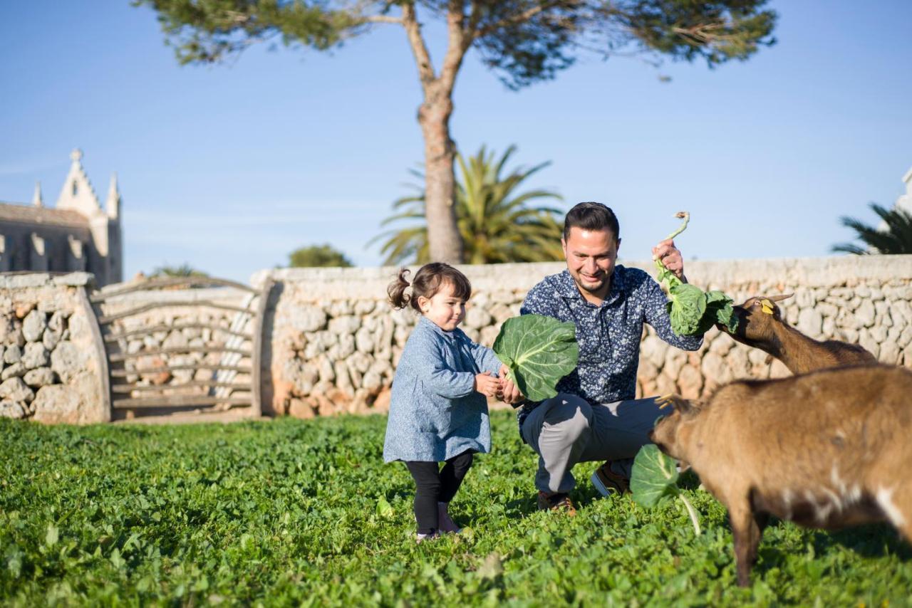 Llucmacanes Gran Agroturismo 마혼 외부 사진