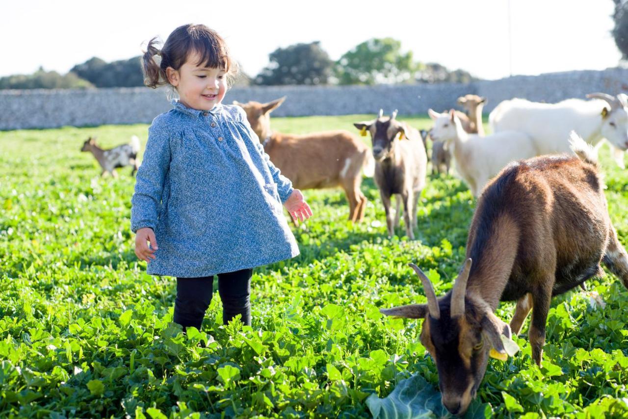 Llucmacanes Gran Agroturismo 마혼 외부 사진