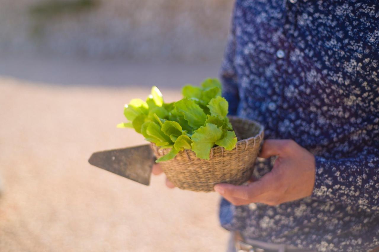 Llucmacanes Gran Agroturismo 마혼 외부 사진