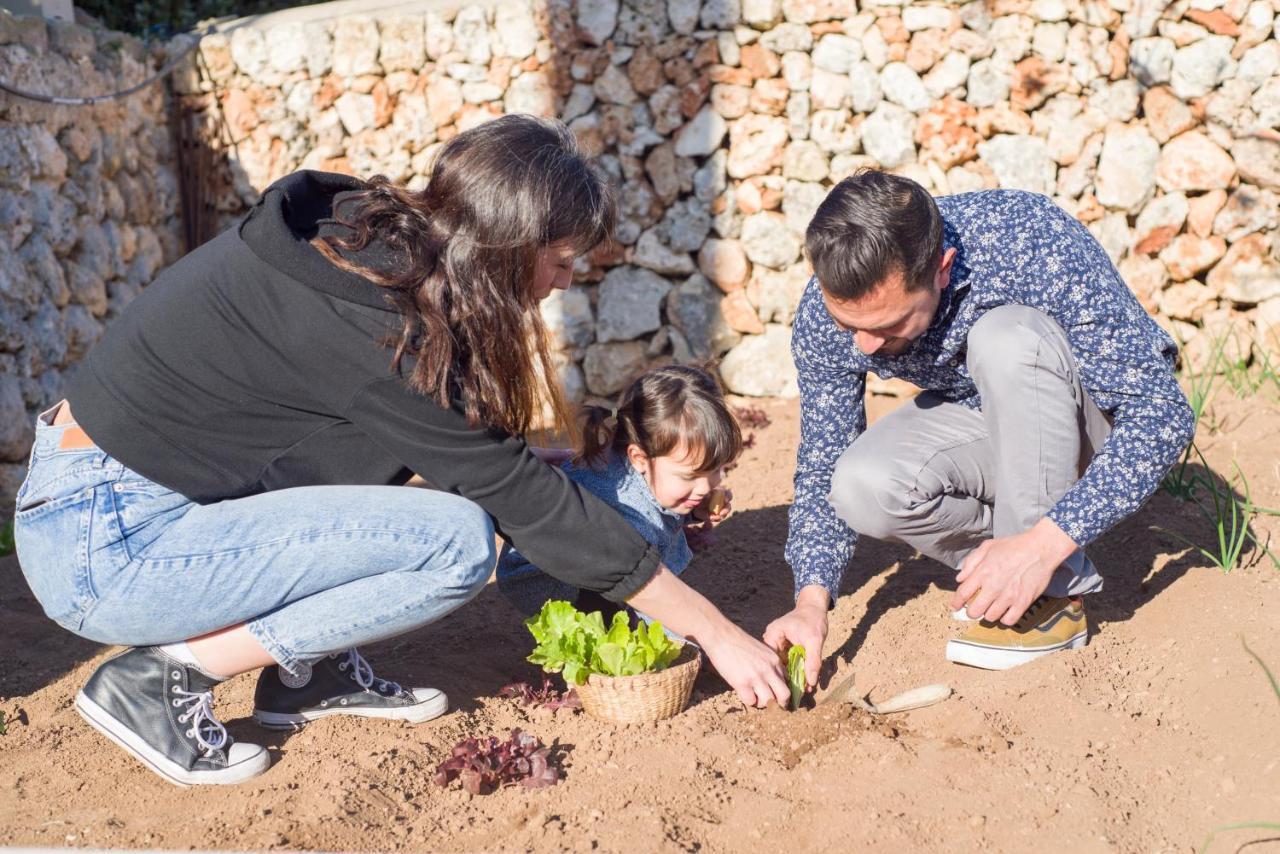 Llucmacanes Gran Agroturismo 마혼 외부 사진
