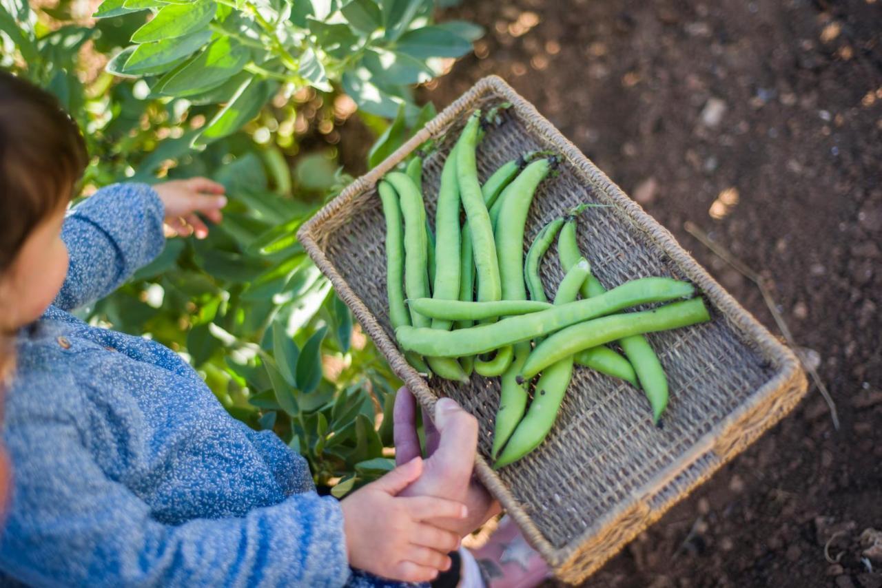 Llucmacanes Gran Agroturismo 마혼 외부 사진