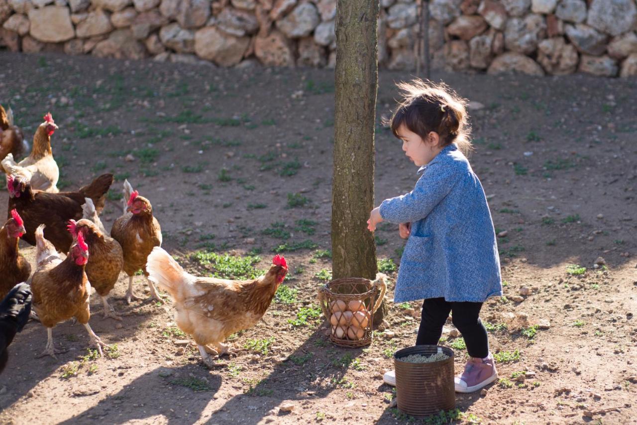 Llucmacanes Gran Agroturismo 마혼 외부 사진