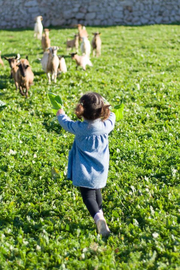 Llucmacanes Gran Agroturismo 마혼 외부 사진