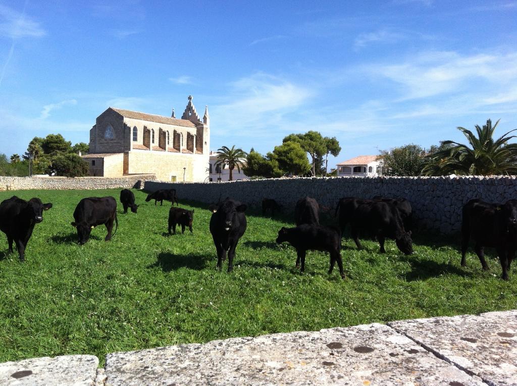 Llucmacanes Gran Agroturismo 마혼 외부 사진